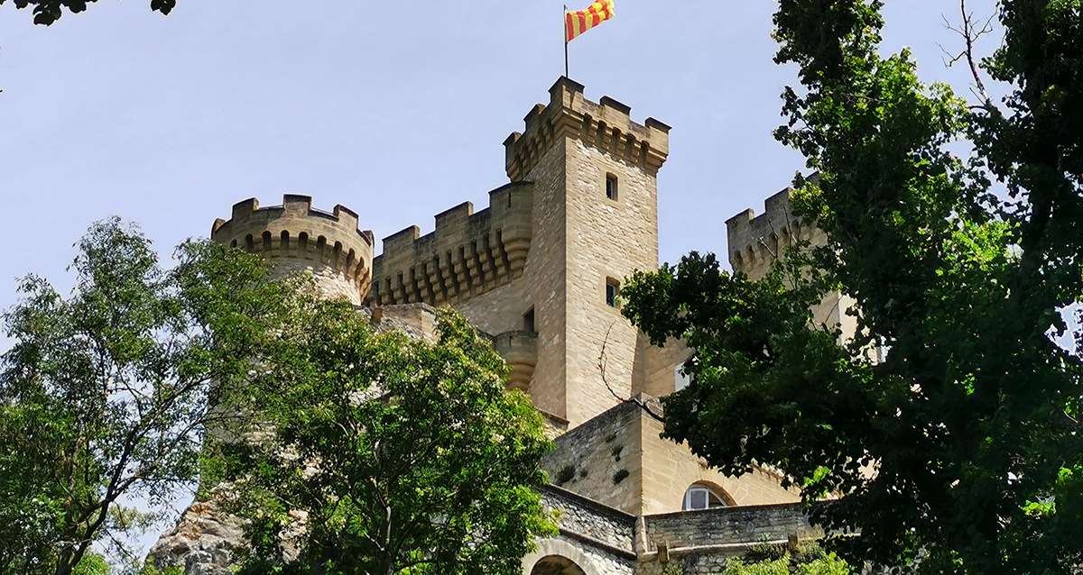 Rocher Mistral : l?ambitieux projet du Puy du Fou provençal au Château de la Barben