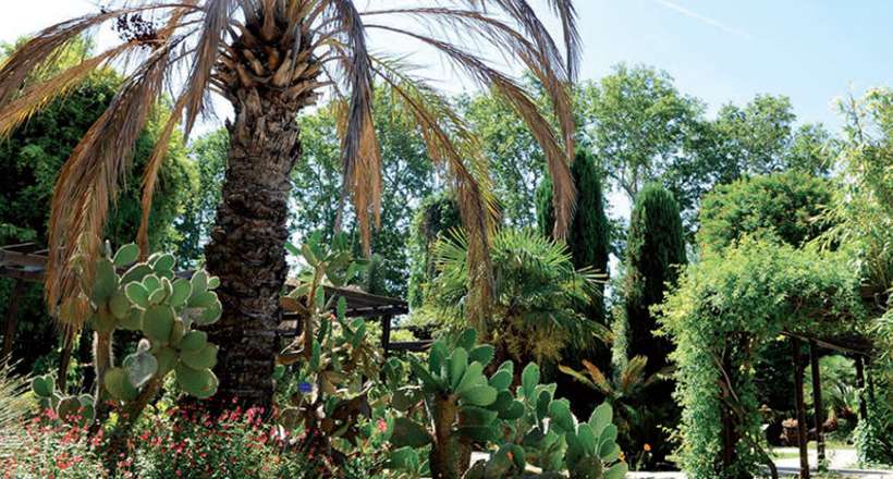 Le musée Borély et le jardin botanique ont ouvert