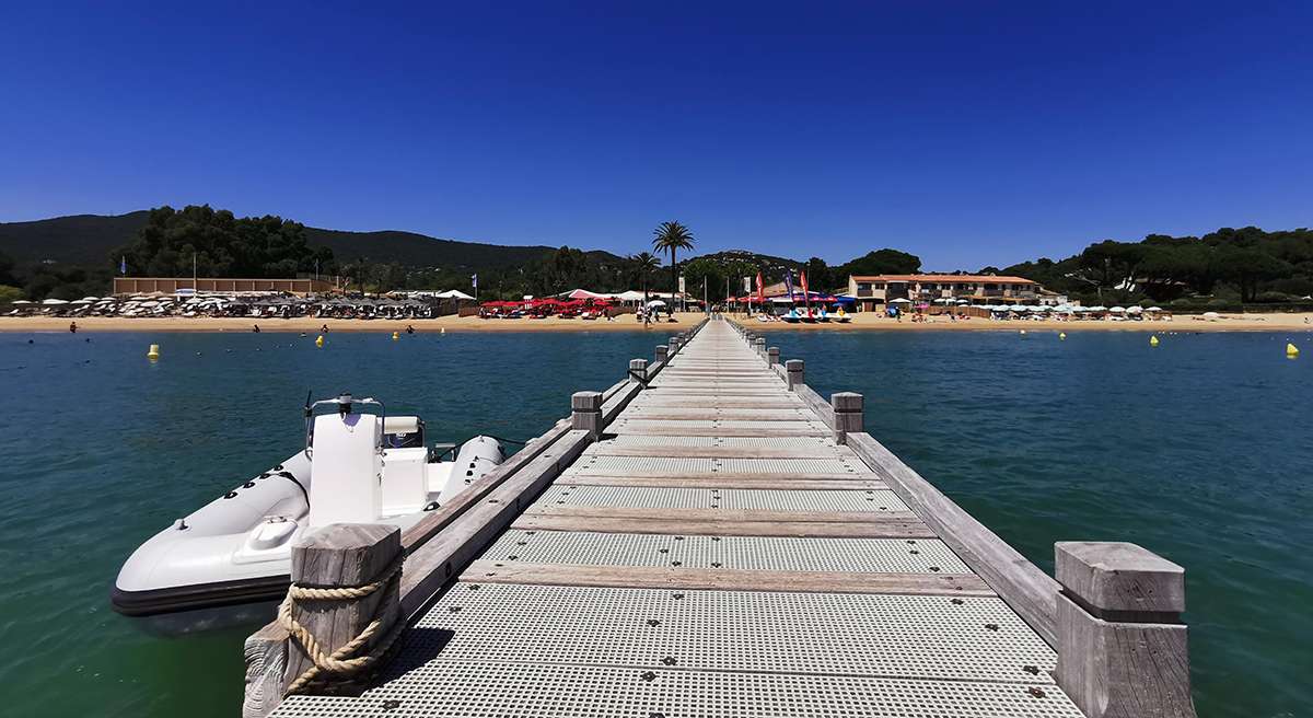 Méduses: Ça pique du côté de La Seyne et du Golfe de Saint Tropez ce dimanche