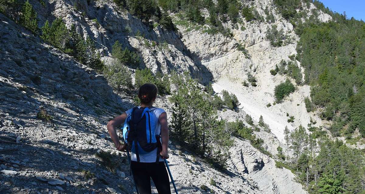 Le Parc naturel régional du mont Ventoux est officiellement créé