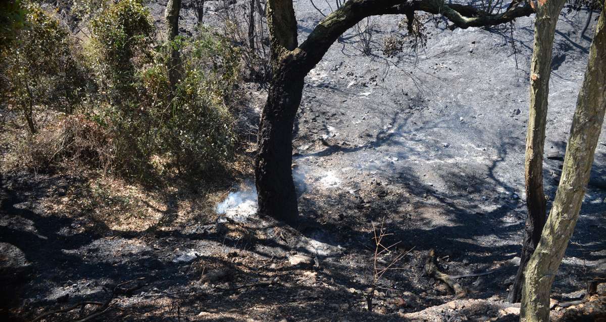 Retour du mistral: tous les massifs des Bouches du Rhône et du Var interdits ce weekend