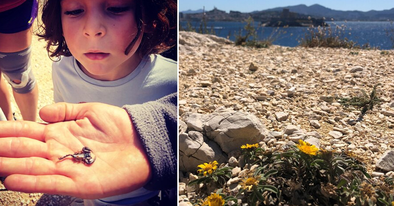 Balade à la découverte de la biodiversité avec une guide conférencière 