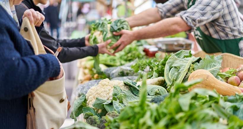 Le guide des marchés alimentaires de Marseille par arrondissement