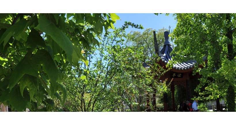 Visites guidées du Jardin Botanique de Marseille, c'est possible sur réservation