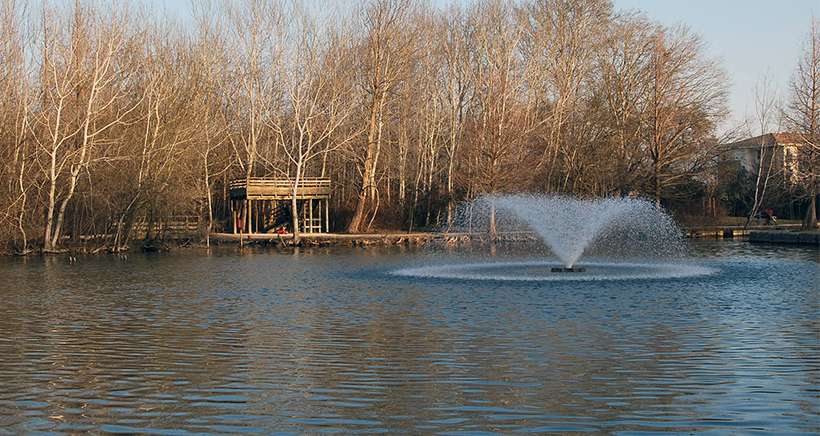 Le jardin de Gaston, la bulle de verdure de Saint Martin de Crau