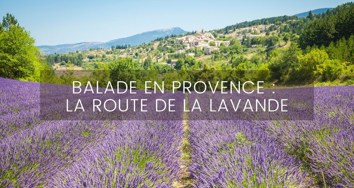 Balade en Provence, la route de la lavande 
