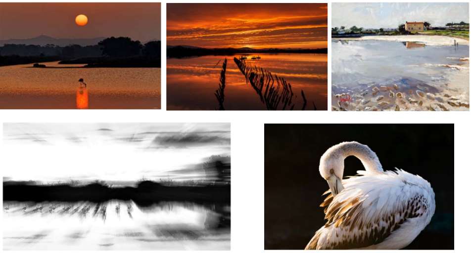 Les Arts dans les Salins d'Hyères