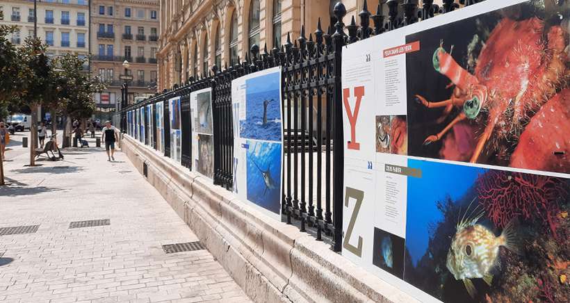 Une exposition à découvrir sur les grilles de la CCI, au pied de la Canebière