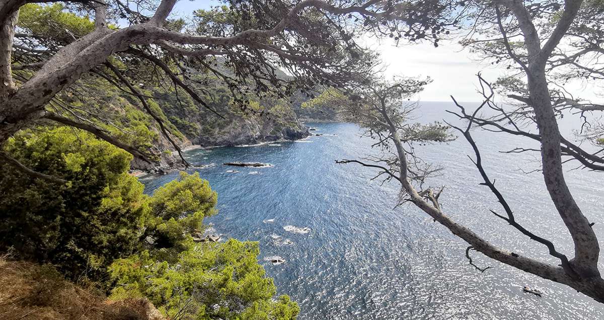 Pinède et baignade au Mont Salva