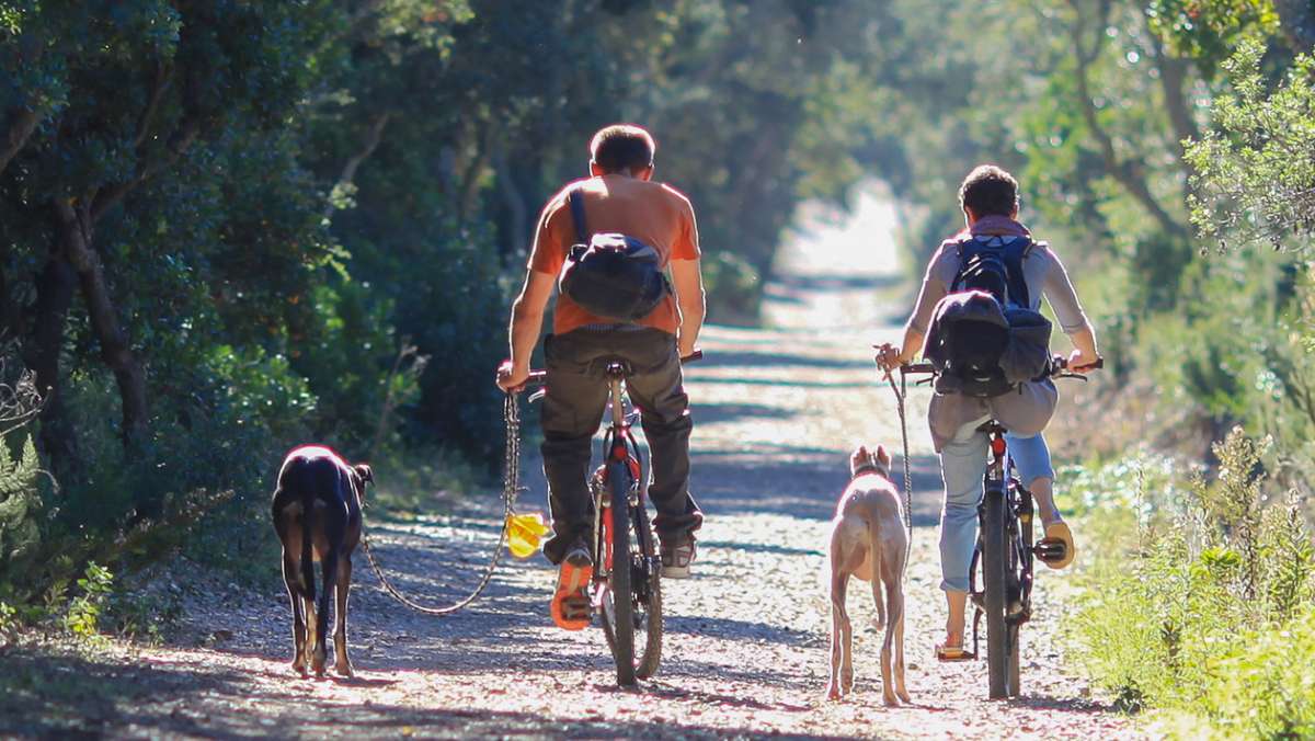 Le parcours cyclable du littoral dans le Var