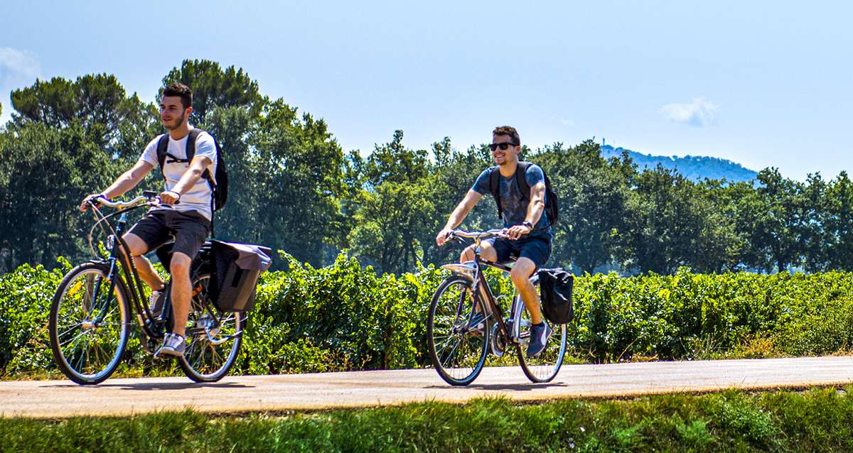 La Vigne à vélo