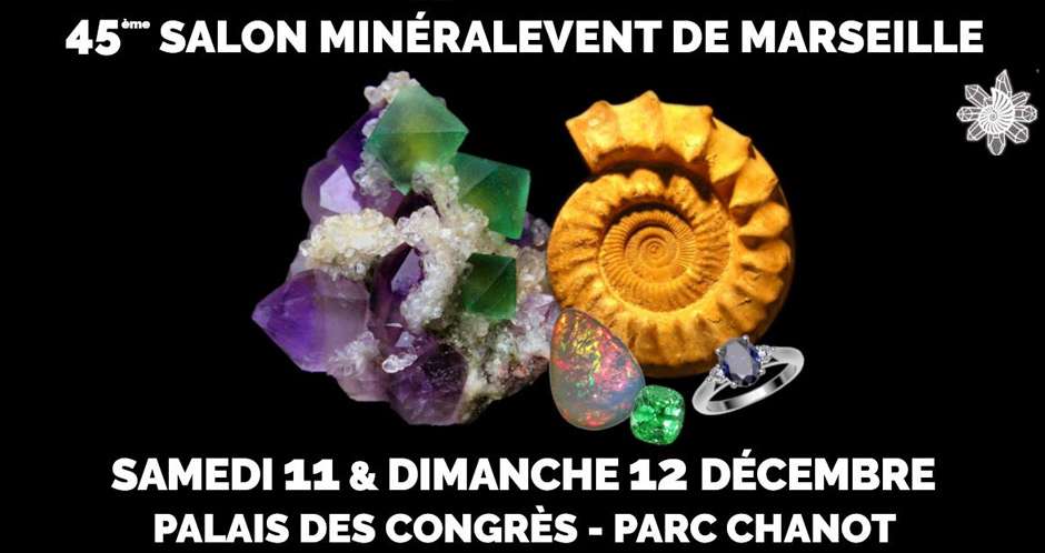Salon Des Fossiles Et Des Mineraux De Marseille Du 11 12 21 Au 12 12 21 Marseille Frequence Sud Fr Salon Des Fossiles Et Des Mineraux De Marseille Du 11 12 21 Au 12 12 21 Marseille Frequence Sud Fr