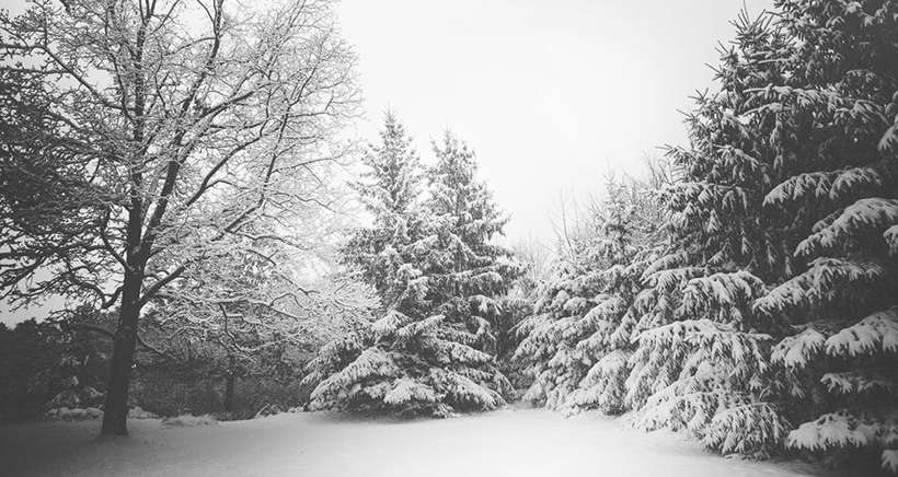 La neige fait son retour dans les Alpes du Sud, attention au risque d'avalanche