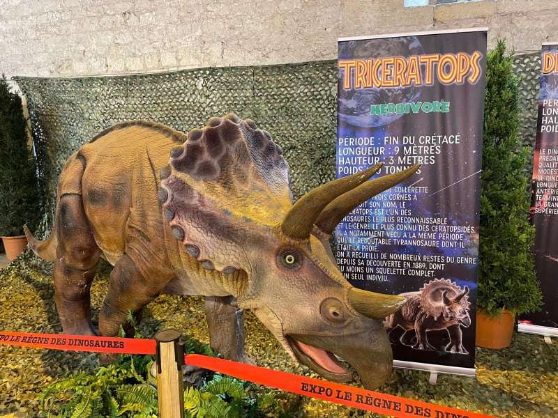 Le RÃ¨gne des Dinosaures dÃ©barque Ã  Aix en Provence