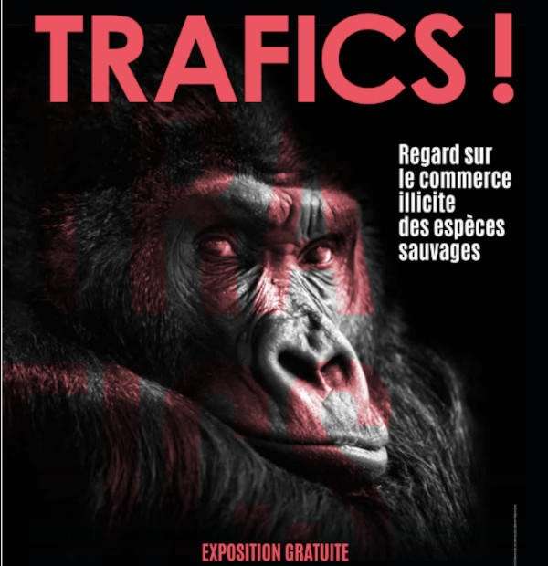 Trafics !