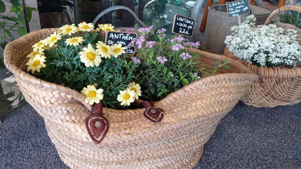 La Butinerie, le café fleuriste dédié aux fleurs locales de saison à Marseille