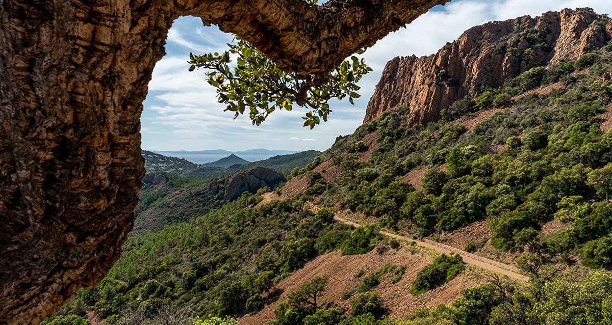 Ce dimanche, les voitures seront remplacées par une navette gratuite dans le massif de l'Estérel