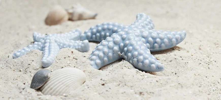 Les festivités de l'été  - Antibes - Juan les pins