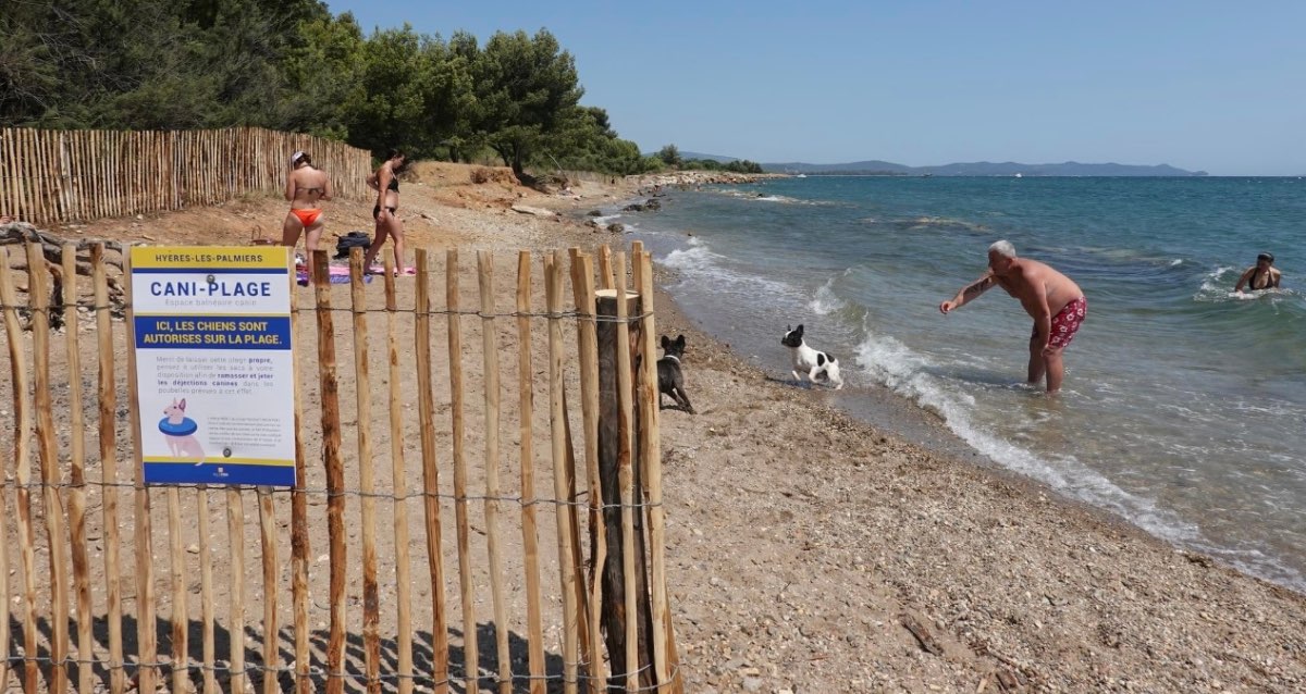 Hyères: pour les toutous direction la plage du Mérou! 