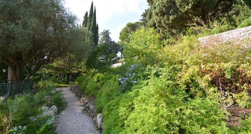 HyÃ¨res : Les trois parcs de la ville fermÃ©s ce week-end  en raison de la pluie