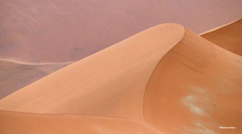 Namib, du sable Ã  la vie
