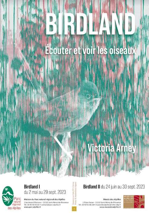 Victoria Arney : irdland - Ecouter et voir les oiseaux