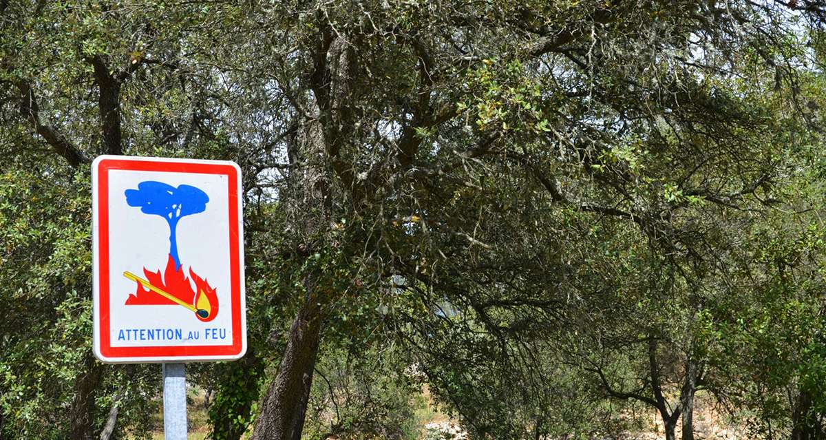 Fumer en forêt, c'est déjà interdit depuis longtemps dans nos régions mais pas toujours respecté