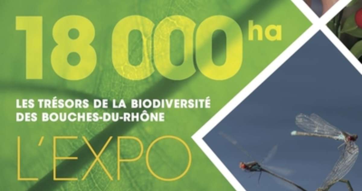 18 000 ha, une expo à l'Etang des Aulnes pour découvrir la richesse des différents milieux naturels de notre territoire 
