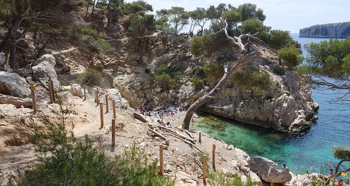 Marseille : Pour accÃ©der Ã  la Calanque de Sugiton ce week-end et tout l'Ã©tÃ©, il faudra rÃ©server !