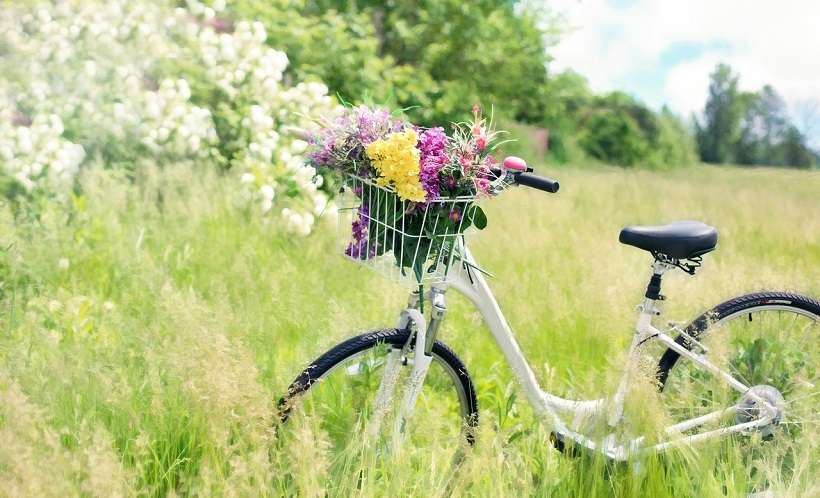 Les festivités de l'été à Carnoux en Provence