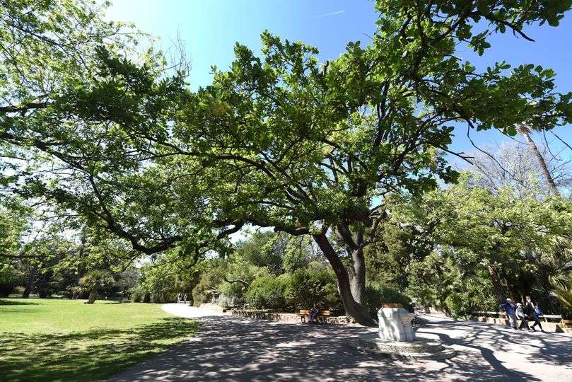 En raison des forts vents, le Parc Olbius Riquier restera fermÃ© ce mercredi 26 juillet Ã  HyÃ¨res