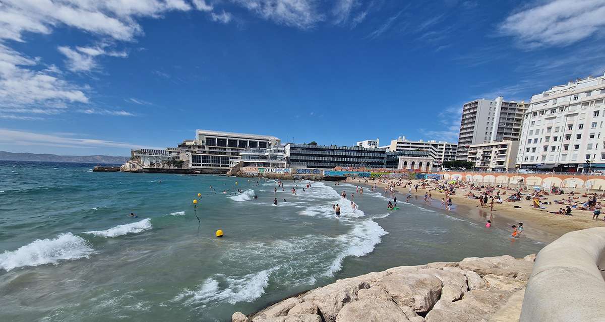 La Plage des Catalans fermée une partie de l'après-midi en raison de la présence d'une raie