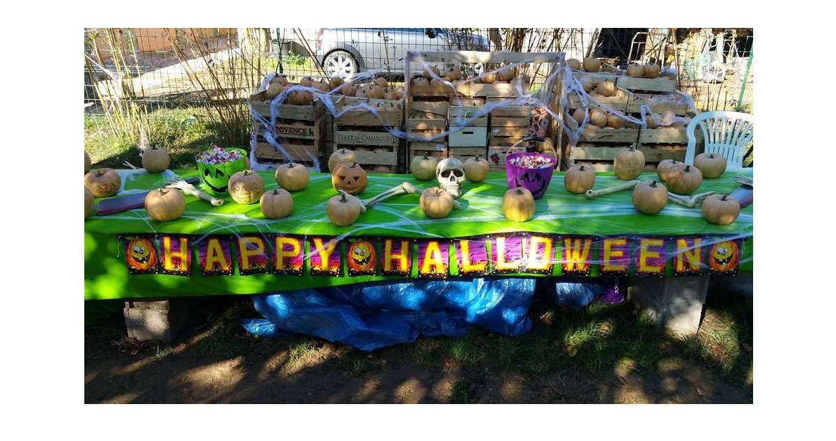 Halloween à la Ferme pédagogique d'Auriol