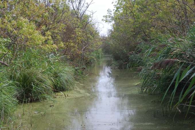 Un bel automne au Marais du Vigueirat