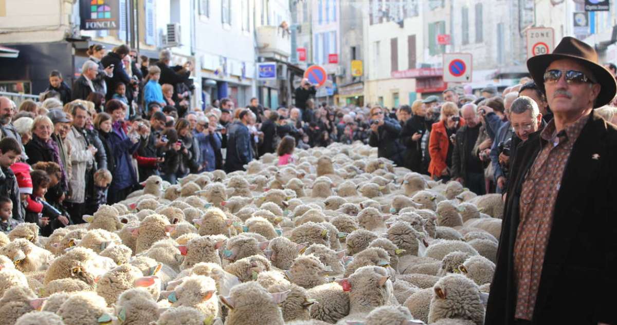 Grand Défilé de la Transhumance ce dimanche 26 novembre à Istres