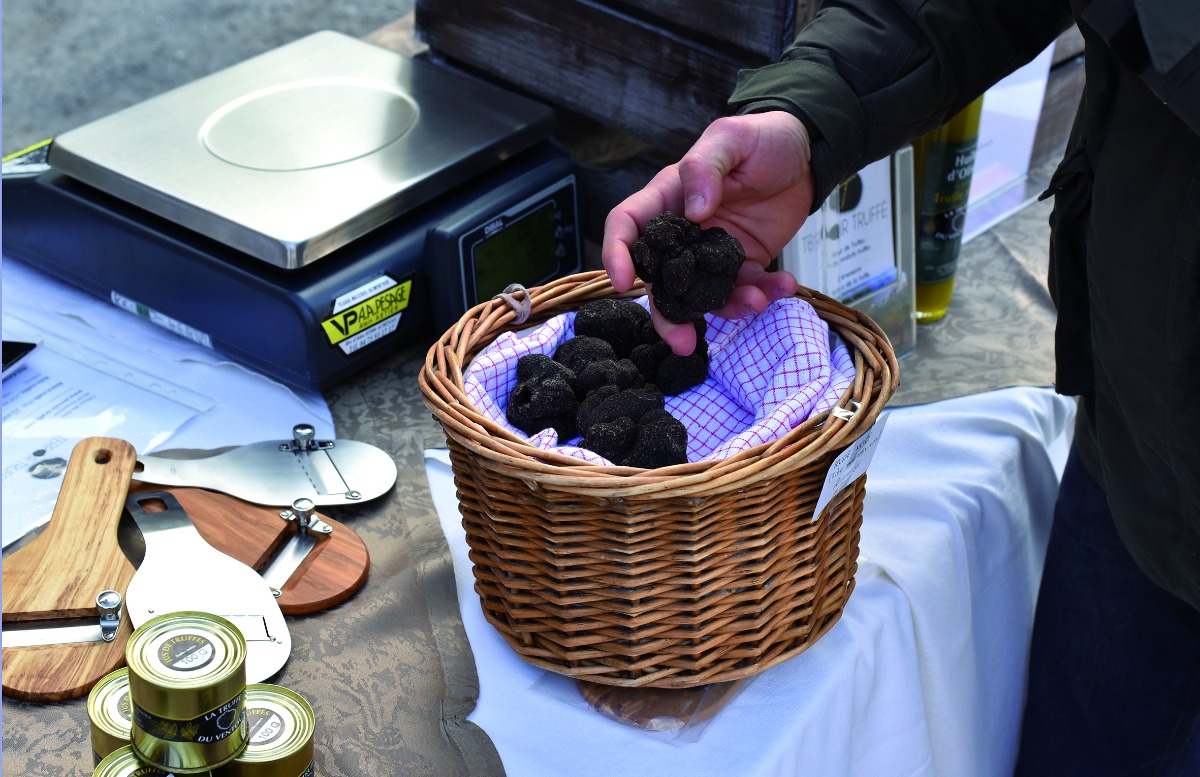 Journée autour de la truffe