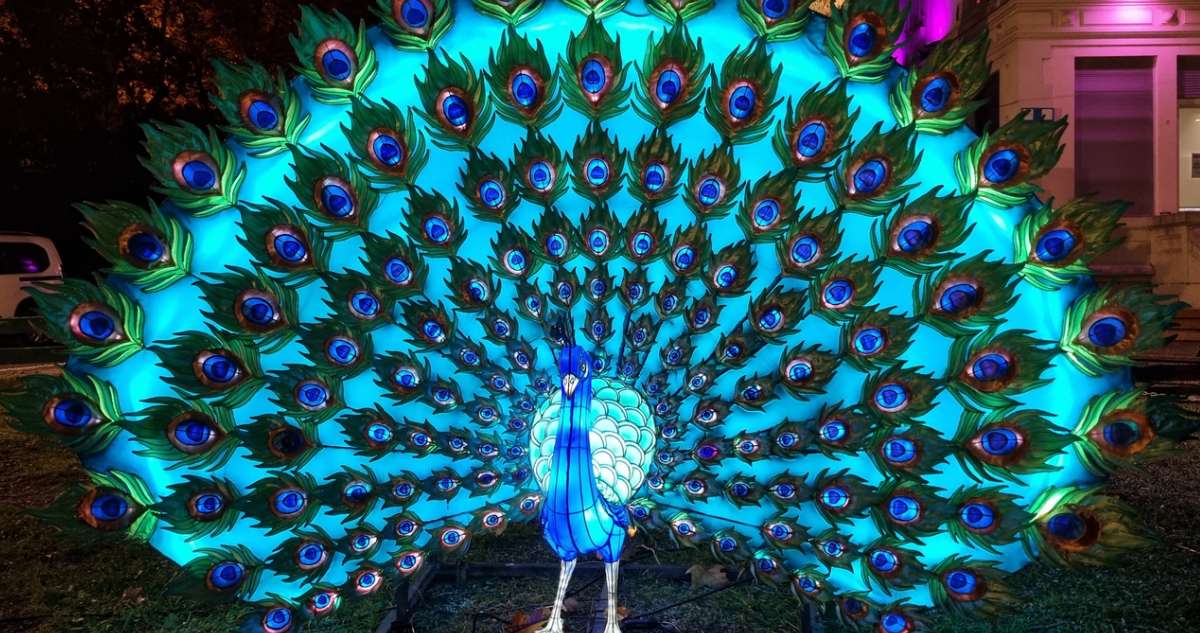 Animaux & végétaux fantastiques : Une exposition lumineuse à découvrir jusqu'au 4 janvier au Parc de Bagatelle