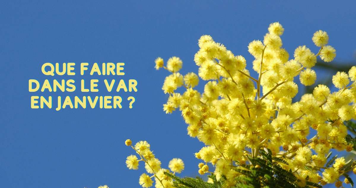 Que faire dans le Var en janvier ? Les temps forts à ne pas rater