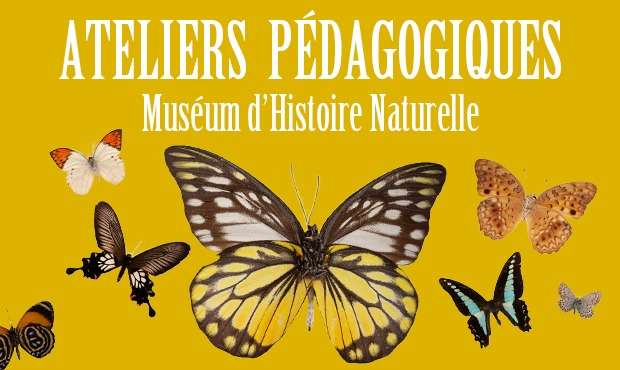 Programme des ateliers du Muséum d?Histoire Naturelle - Vacances d'Hiver 2024