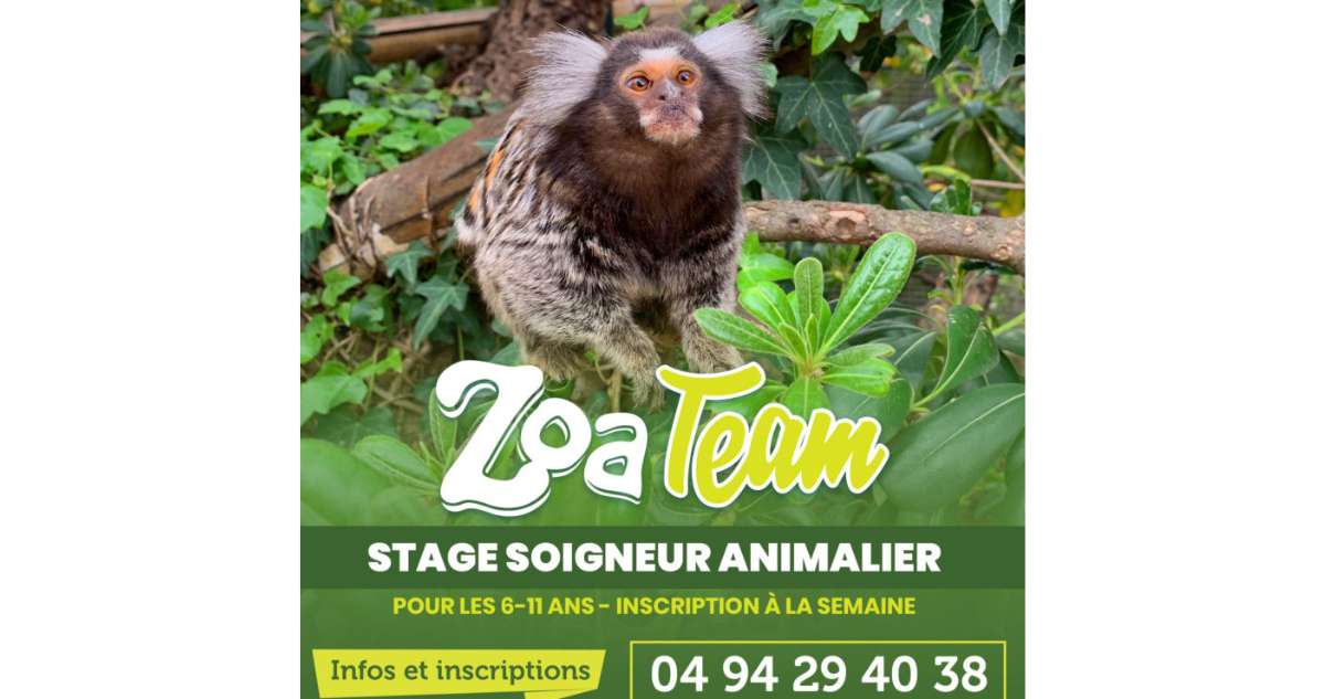 Insolite : Stages Soigneur animalier au Zoa Parc de Sanary pendant les vacances