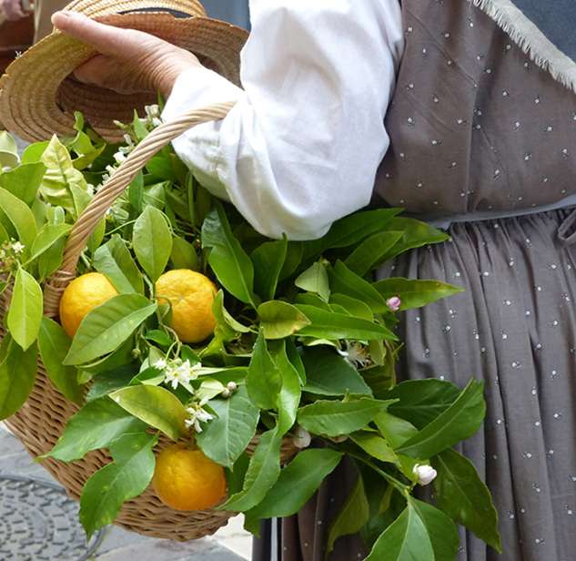 FÃªte de la fleur d'oranger