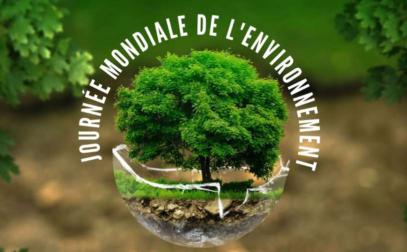 Journée mondiale de l'environnement de l'ONU 