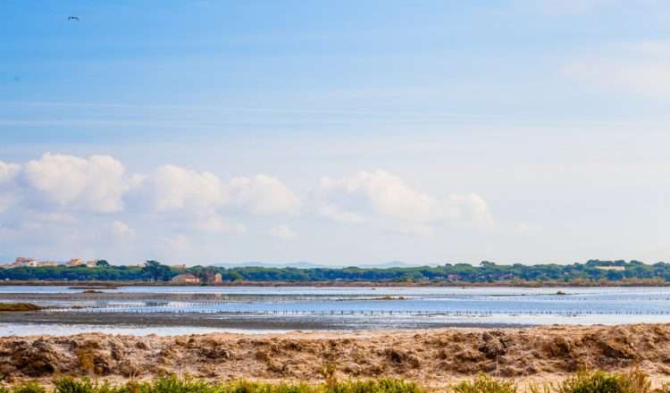 Visite des Salins d'Hyères