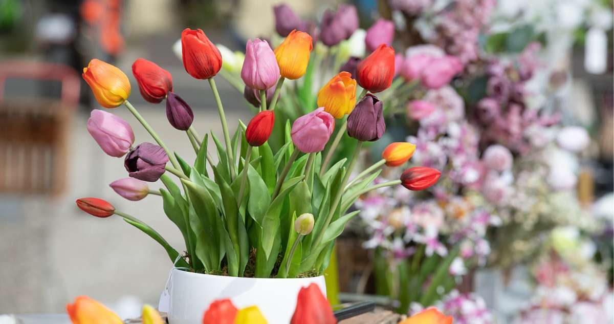 Samedi 13 avril, Salon-de-Provence célèbre le printemps avec un marché convivial sur la place Morgan !