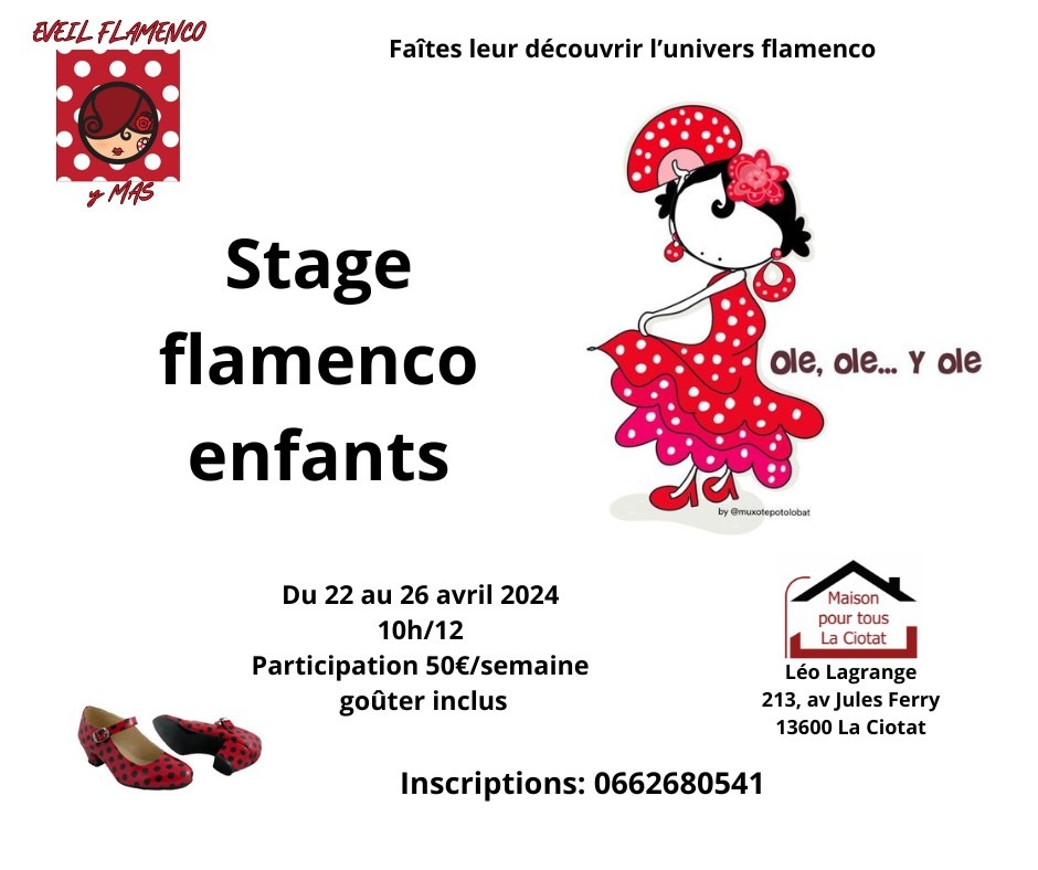 A  la découverte de l'univers flamenco