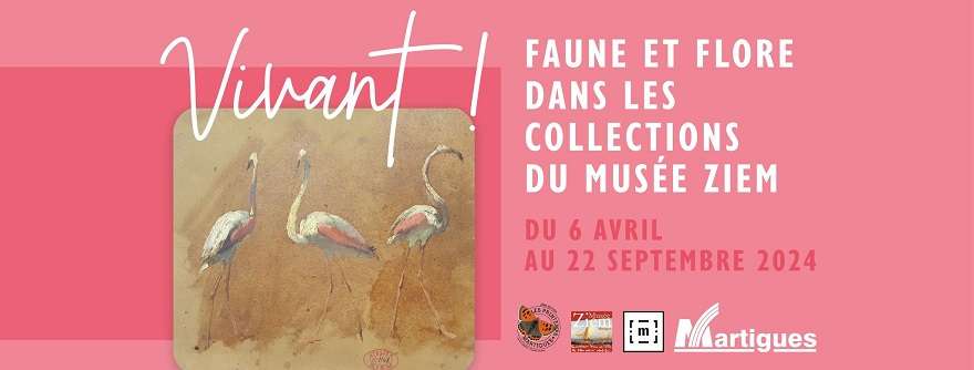 Vivant ! Faune et flore dans les collections du Musée Ziem