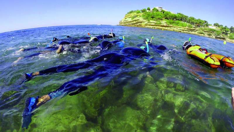 Snorkeling au coeur du Parc Marin