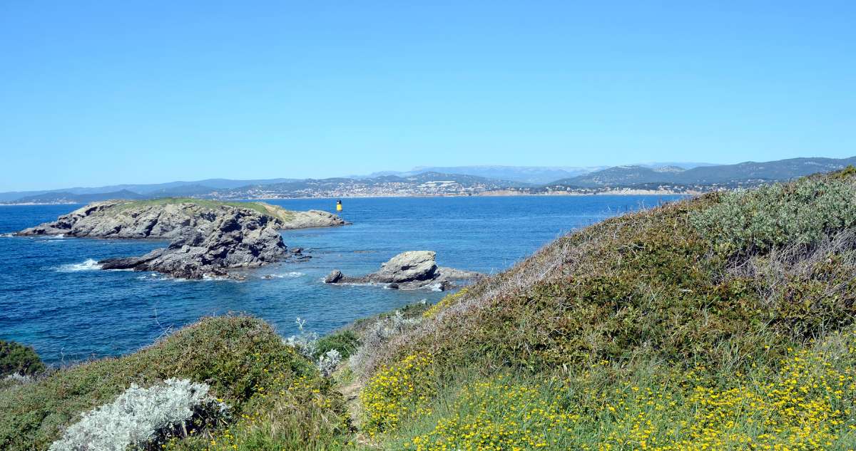 Vacances de printemps sur l'Île des Embiez : plongez dans l'univers enchanté d'Alice au Pays des Merveilles !