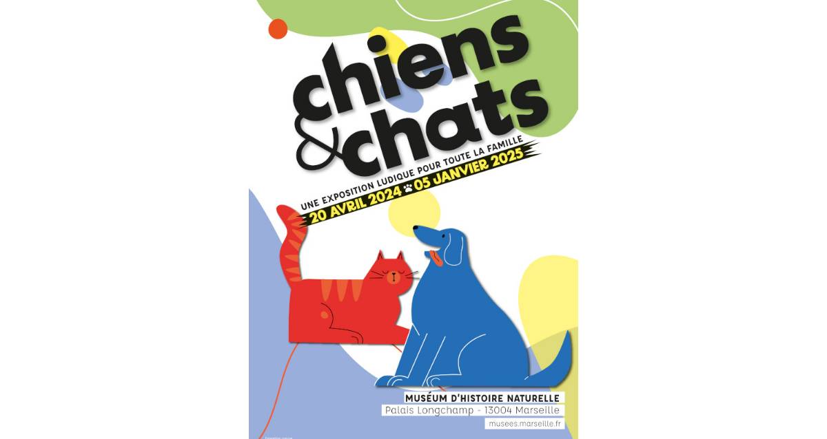 Chiens et chats