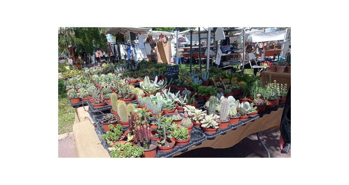 MarchÃ© aux fleurs et aux plantes